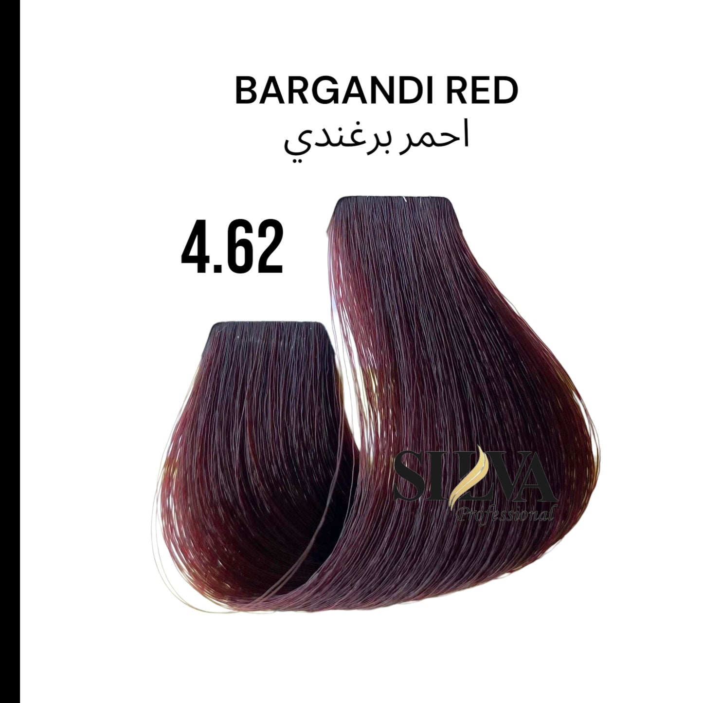 Professional Hair Color 100ML.