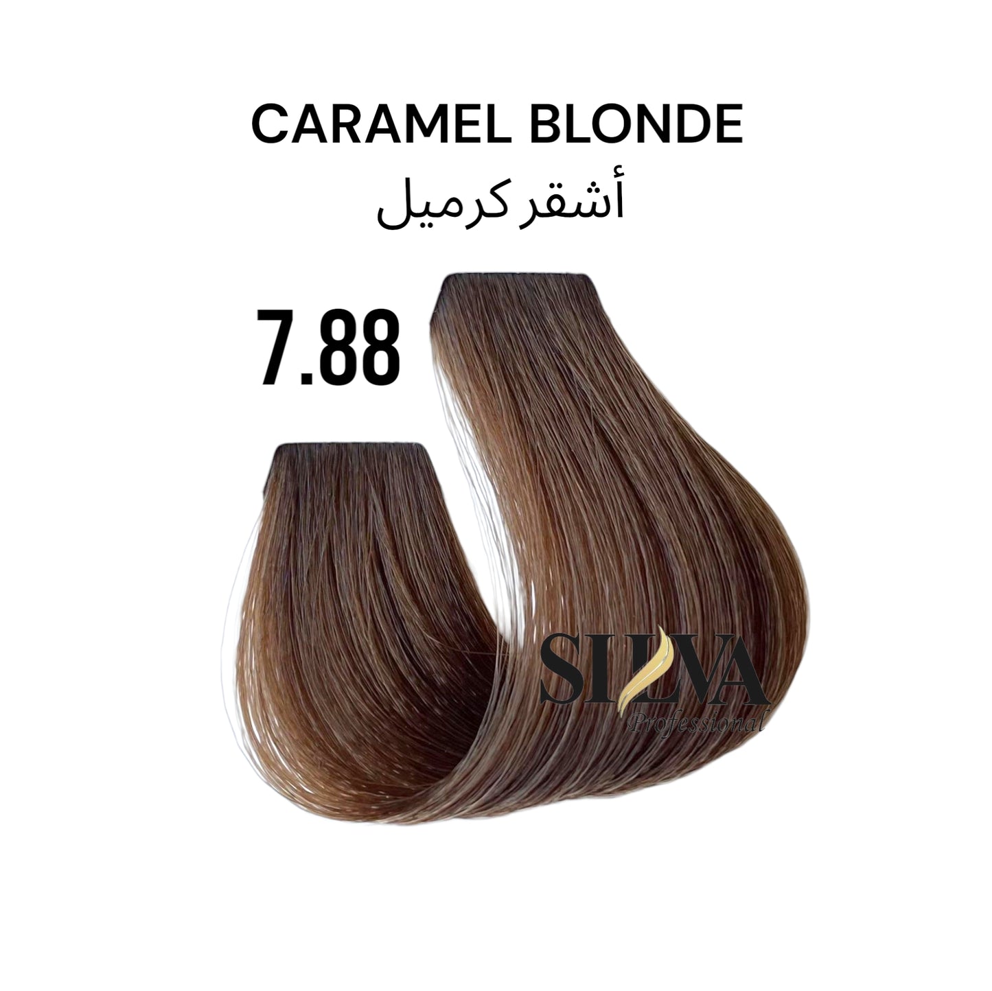 Professional Hair Color 100ML.