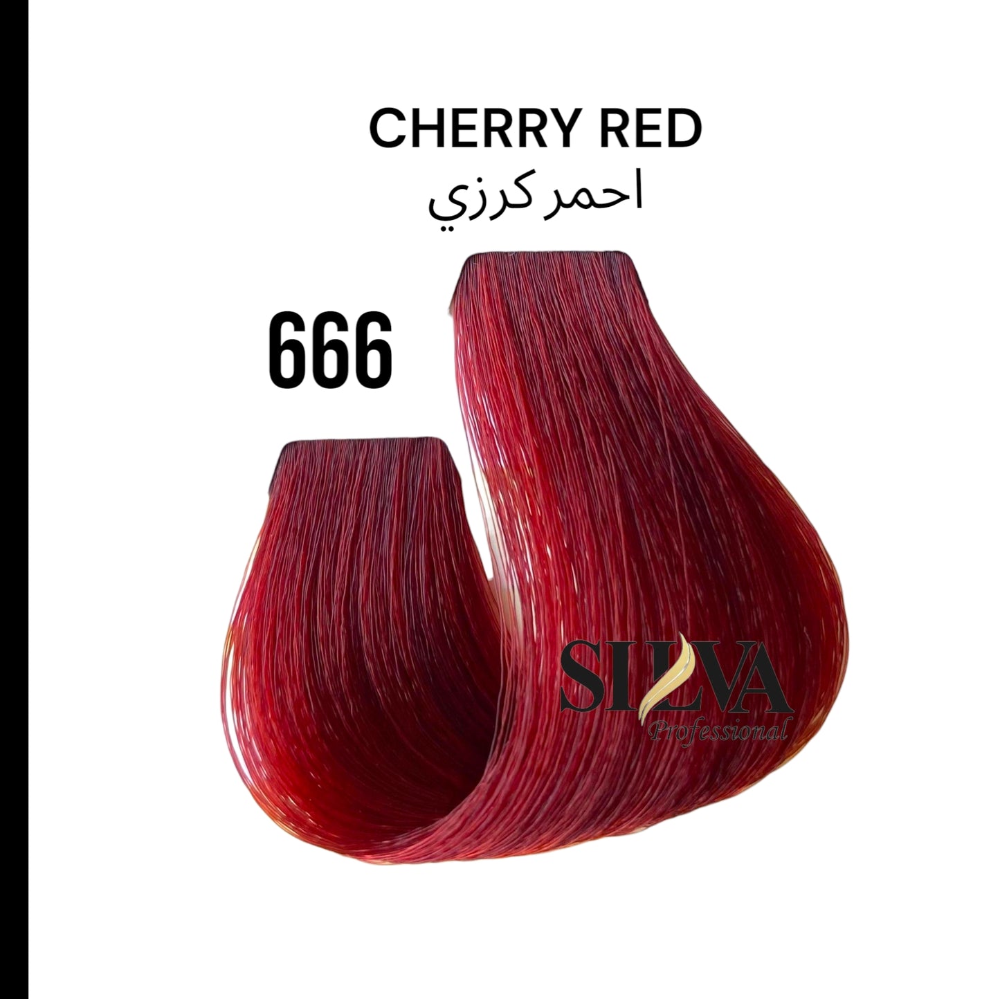Professional Hair Color 100ML.